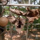 횡성 호수길 1구간 이미지