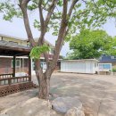 노일리 경로당 이미지