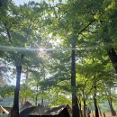 도명산펜션 | 괴산 캠핑 가족 3명 여름휴가 — 괴산 숲속의하모니캠핑장 솔직 후기