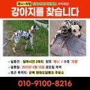 군북주유소 이미지