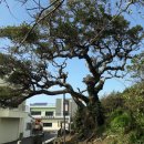 협재리 경로당 이미지