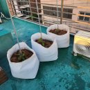 승민애견 | 2024.5