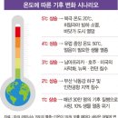 솔라다이렉트 이미지
