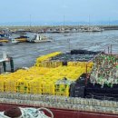 회천생태공원 야구장 이미지