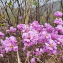 새벌농장 이미지