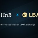 케어HNB