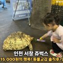 승연전자 | 인천 서창 실내동물원 쥬벅스, 아이랑 가볼만한 곳 동물과 교감하는 특별체험 후기