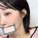508 | 내돈내산 딘토 블러셔 509 네이키드 호손 508 리틀 올콧 솔직후기