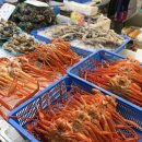 매천시장지하차도 위 교통섬 | 대구 매천수산시장 영업시간 주차 시세 회포장 후기