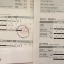 디톡스핏 피티 이미지