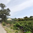 상효1동마을회관 이미지