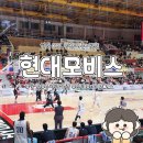 현대체육관 | 울산 현대모비스 피버스 동천체육관 농구 홈팀 직관 후기