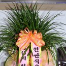 삼향동초등학교 이미지