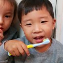 치카치카 - 용인시 기흥구 관곡로64번길 6-9 | 치카치카