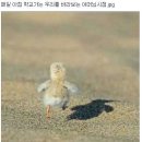 득근GYM 이미지