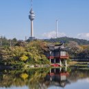 두류공원 이미지