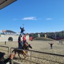 리틀파우스 | [제주 더마파크] 기마공연, 승마체험, 더마카트, 동물원까지 더마파크에서 즐기기!! / 더마파크 공연 시간