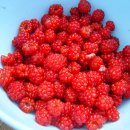 민석농장 이미지