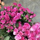 경충대로 2050번길 4 이미지