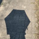 꽃담원 | 구미 수국 명소 구미다온숲 실시간 개화 상태 후기