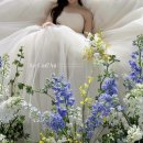 웨딩일기 - 6. 후회 없는 가성비 플라워디렉팅 ‘르꺄도플라워’ 계약 후기(짝꿍 구해요)