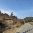 완도읍-12 이미지