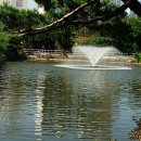 분당중앙공원 이미지