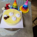 이번생은 댕댕이 이미지