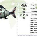 (주)케이티엠에이치컴퍼니 네이버블로그