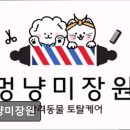멍냥미장원 이미지
