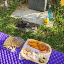 WR(부산광역시 금정구)-[금정도서관로]-상-2 | 영락공원 그리고 범어사