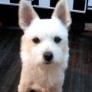 사당시장 이미지