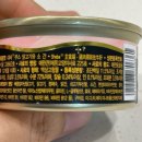 베스트고양이병원 이미지