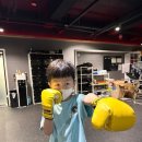 올라운더 복싱 이미지