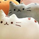 미오미오 이미지