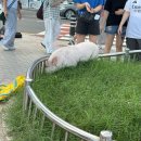 넷크럽 방학점 | 8.999월의 잡동사니.zip