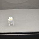 진주익룡발자국전시관 이미지