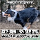 내품안의 반려견 김포점 | 김포 무료 반려견 놀이터 애견 운동장 강아지 펫파크 추천