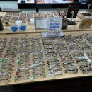 아비드안경 콘택트 이미지