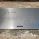 돈키호테-무식한 소 이미지