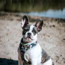 성안GNB영어학원 | gnb 영어학원 총정리