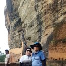 채원농장 이미지