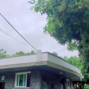 노형근린공원 이미지