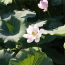 수변공원 공중화장실 이미지