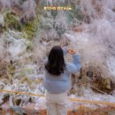 일연폭포주차장 이미지