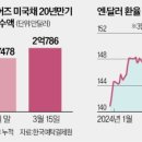 왔다 개미 이미지