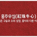 우심 - 고양시 일산서구 킨텍스로 255 | 우심