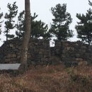 좌가연대 이미지