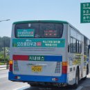 삼화3리 이미지