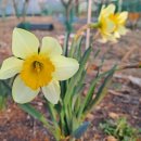 도장골농장2 이미지